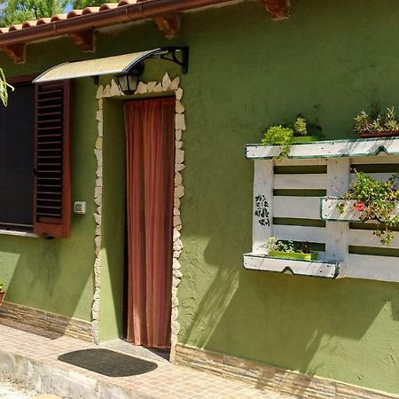 Appartamento Il Salice Casa Minnina Екстер'єр фото