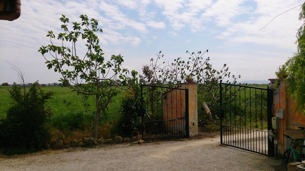 Appartamento Il Salice Casa Minnina Екстер'єр фото